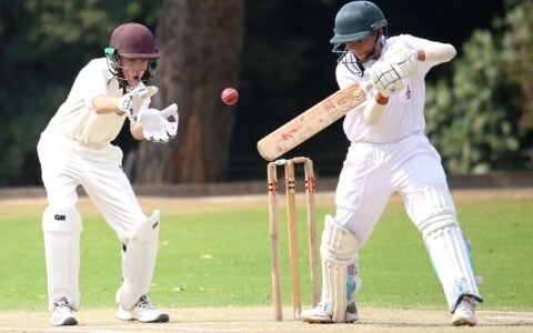 Global Maximum Cricket Statistics